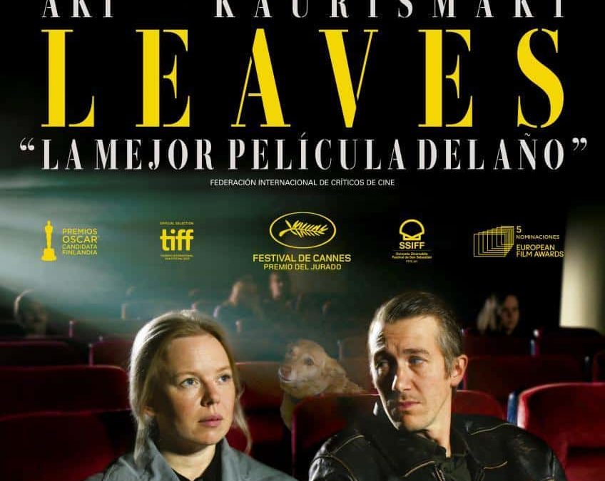 Cine – club 1ª Fila: Fallen leaves